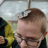 zdjecie7