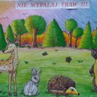 miniatura_konkurs-przyrodniczo-plastyczny-pt-nie-wypalaj-traw