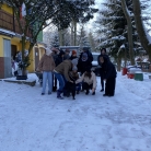 miniatura_swiateczna-wizyta-w-schronisku-klasa-7a